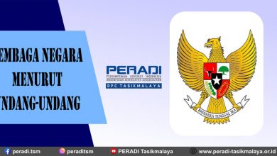 Lembaga Negara Menurut Undang-Undang