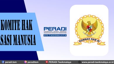 Komite Hak Asasi Manusia