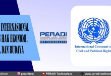 Kovenan Internasional tentang Hak Ekonomi, Sosial dan Budaya