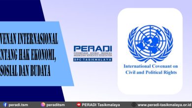 Kovenan Internasional tentang Hak Ekonomi, Sosial dan Budaya