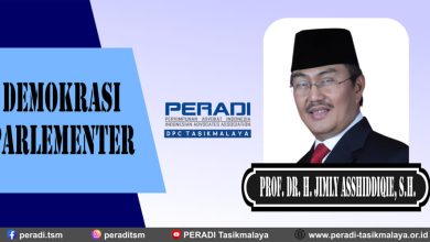 Demokrasi Parlementer Menurut Prof. Dr. H. Jimly Asshiddiqie, S.H.