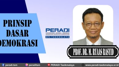 Prinsip Dasar Demokrasi Menurut Prof. Dr. M. Ryaas Rasyid