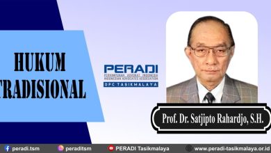 Hukum Tradisional Menurut Prof. Dr. Satjipto Rahardjo, S.H.
