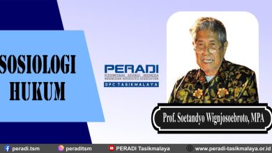 Sosiologi Hukum Menurut Prof. Soetandyo Wignjosoebroto, MPA