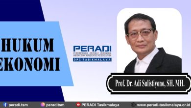 Hukum Ekonomi Menurut Prof. Dr. Adi Sulistiyono, SH. MH.