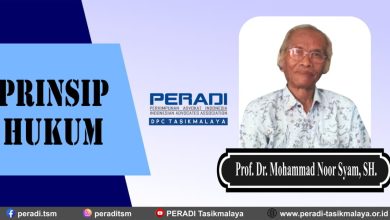 Prinsip Hukum Menurut Prof. Dr. Mohammad Noor Syam, SH.